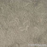 Seagrass Limestone Flamed and Brushed