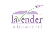 Essential Lavender Oil