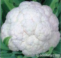 Cauliflower