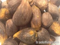 PALM KERNEL NUT