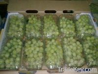 Grapes