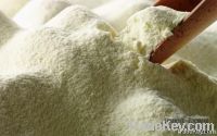 Export Skimmed Milk Powder | Full Cream Milk Powder Suppliers | Skimmed Milk Powder Exporters | Full Cream Milk Powder Traders | Skimmed Milk Powder Buyers | Full Cream Milk Powder Wholesalers | Low Price Skimmed Milk Powder | Full Cream Buy Milk Powder