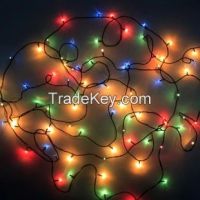 Christmas illumination with 100 lamp heads 220V AC input power source led decorative lights