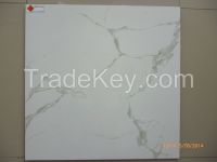 POLISHED PORCELAIN TILES