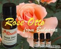 Bulgarian Rose Oil