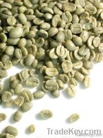 robusta coffee beans importers,robusta coffee beans buyers,robusta coffee beans importer,buy robusta coffee beans,robusta coffee beans buyer,import robusta coffee beans,robusta coffee beans suppliers,