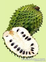 Soursop-Guyabano-Graviola