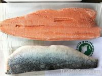 Atlantic Salmon Fillets Frozen