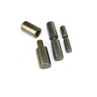 Pivot Hinges Rod Type / Flate Dome Hinges /Satin Nickel (SN) Chrome Plated (CP) Gold Plated (GP) Flate Dome Hinges