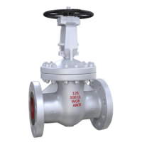 GATE VALVE CLASS 300/600/900/1500/2500 BOLTED BONNET/API598/API600