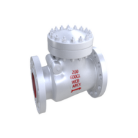 NON RETURN VALVE CLASS 600 SWING TYPE BOLTED COVER/NON RETURN VALVE/BS 1868/BS 6755