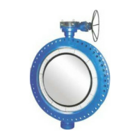 FABRICATED BUTTERFLY VALVE / BUTTERFLY VALVE / DOUBLE OFF SET DISK / IS 2062 Gr B (M.S.) | IS 2002