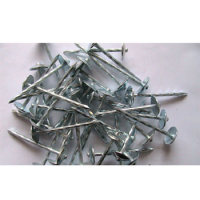 Galvanized roofing nails with Umbrella head/Iron Nails /Galvanized Steel Nails /Roofing Nails