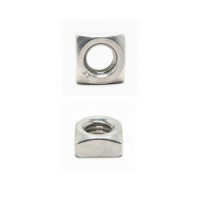 Square Nut / Rivet Nut /Stainless Steel Square Nut / Carbon Steel Color Zinc-Plated Rivet Nut / Gr4.8 Square Nut