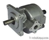 Hydraulic gear Pump