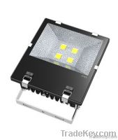 LED FLOOD LIGHT