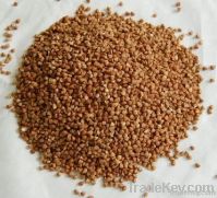 Buckwheat Kernel