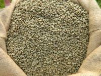 Raw Arabica Coffee Beans