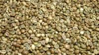 Green Arabic Coffee Beans
