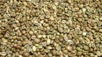 https://fr.tradekey.com/product_view/Robuster-Coffee-Beans-8877881.html