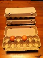 egg cartons