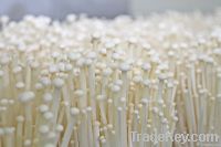 Fresh Enoki Mushroom - From Korea 100% ORGANIC