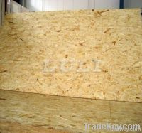 Oriented  strand board