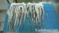 Frozen Jumbo Squid tentacles