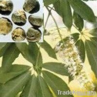 Horse Chestnut P.E. Aescin 20%UV
