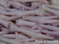 Export Chicken Paw | Chicken Feet Suppliers | Poultry Feet Exporters | Chicken Feets Traders | Processed Chicken Paw Buyers | Frozen Poultry Paw Wholesalers | Low Price Freeze Chicken Paw | Best Buy Chicken Paw | Buy Chicken Paw | Import Chicken Paw | Chi