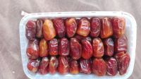 fresh dates suppliers egypt , egyptian fresh dates