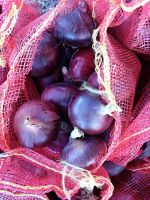 Fresh Red onion , Egyptian Red onion suppliers