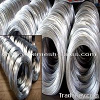 Export zinc coated galvanized iron wire