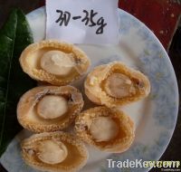 frozen boiled abalone meat