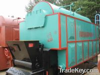 DZL coal fired Hot water boiler