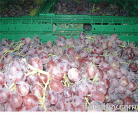 fresh grapes