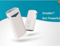 Dual USB Portable Power Bank 8400mAh