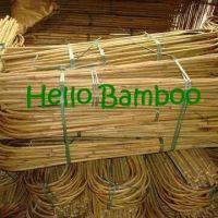 Bamboo U hoop