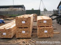 Timber wood from Ukraine producer FOB Odessa - 205 USD per 1 cub.m