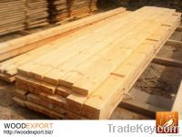 Yellow Pine from Ukraine for INDIA