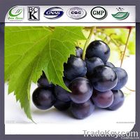 Gape Seed Extract