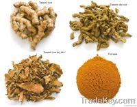 Turmeric Root Extract Curcumin 95%