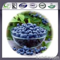 Blueberry Extract Powder Anthocyanidin 25%UV