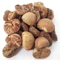 https://fr.tradekey.com/product_view/Betel-Nut-Areca-Nut-Supari-5863553.html