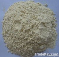 dehydrated garlic powder