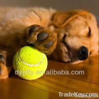 pet-dog-cat-toys-teeth-cleaning tennis ball