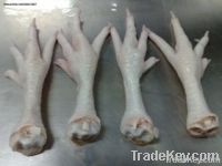 Export Chicken Paw | Chicken Feet Suppliers | Poultry Feet Exporters | Chicken Feets Traders | Processed Chicken Paw Buyers | Frozen Poultry Paw Wholesalers | Low Price Freeze Chicken Paw | Best Buy Chicken Paw | Buy Chicken Paw | Import Chicken Paw | Ch