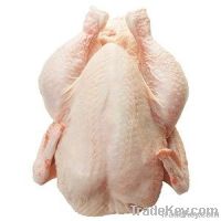 Frozen whole chicken