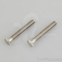 Stainless Steel Hex Head Screw