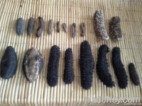 Dried sea cucumber